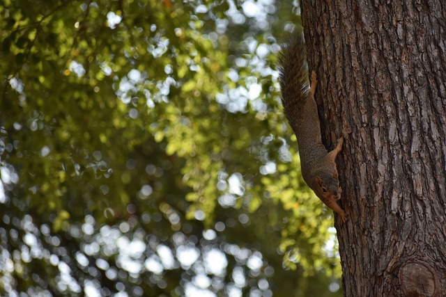 當地時間 當地時間