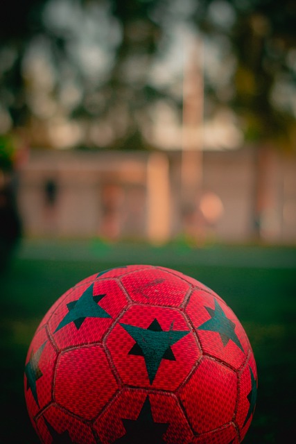 发展迅猛的 发展迅猛的