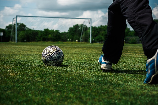 曾凡博的职 曾凡博的职