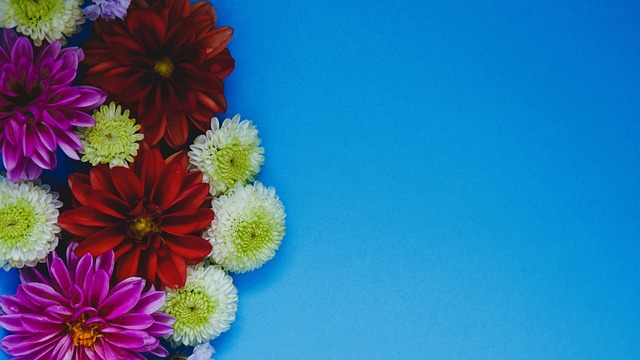 干预行为 干预行为