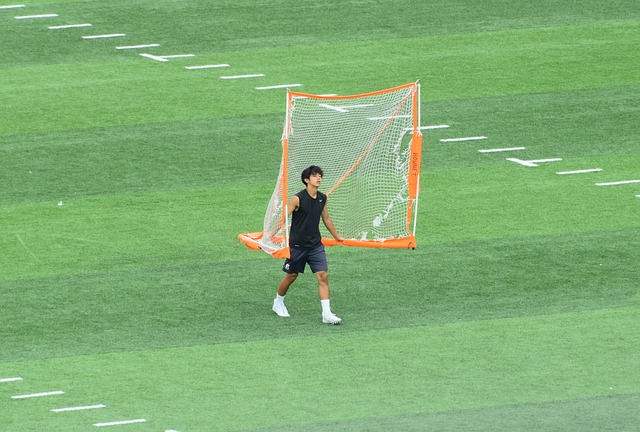 则是他们制